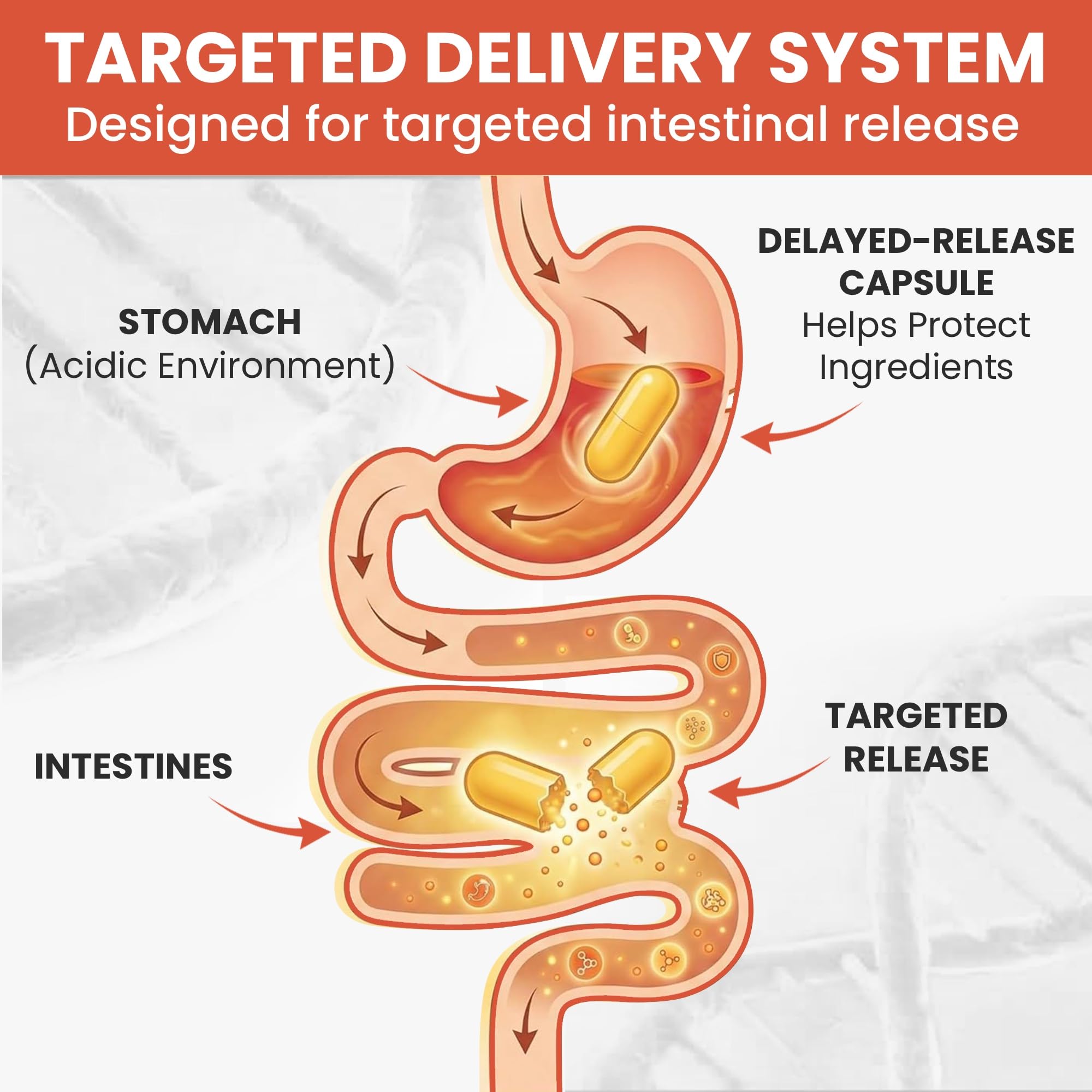 Balance ONE Candida Cleanse Supplement packaging with ingredients list