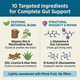 Balance ONE Gut Repair Supplement back view with ingredient list