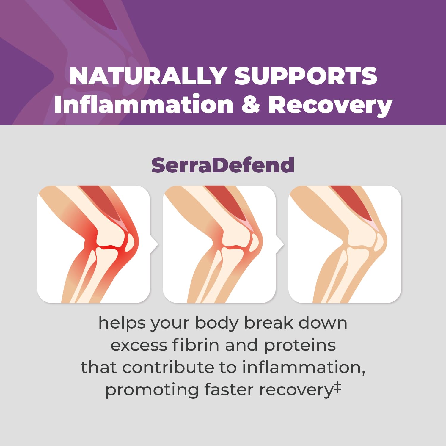 Balance ONE SerraDefend Multi-Enzymes 50g ingredients list