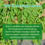 Balincer Moringa Capsules bottle back view with ingredient list