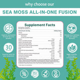 balmbare Sea Moss Gummies bottle top view