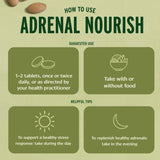 Banyan Botanicals Adrenal Nourish 90 Tablets close-up of tablets