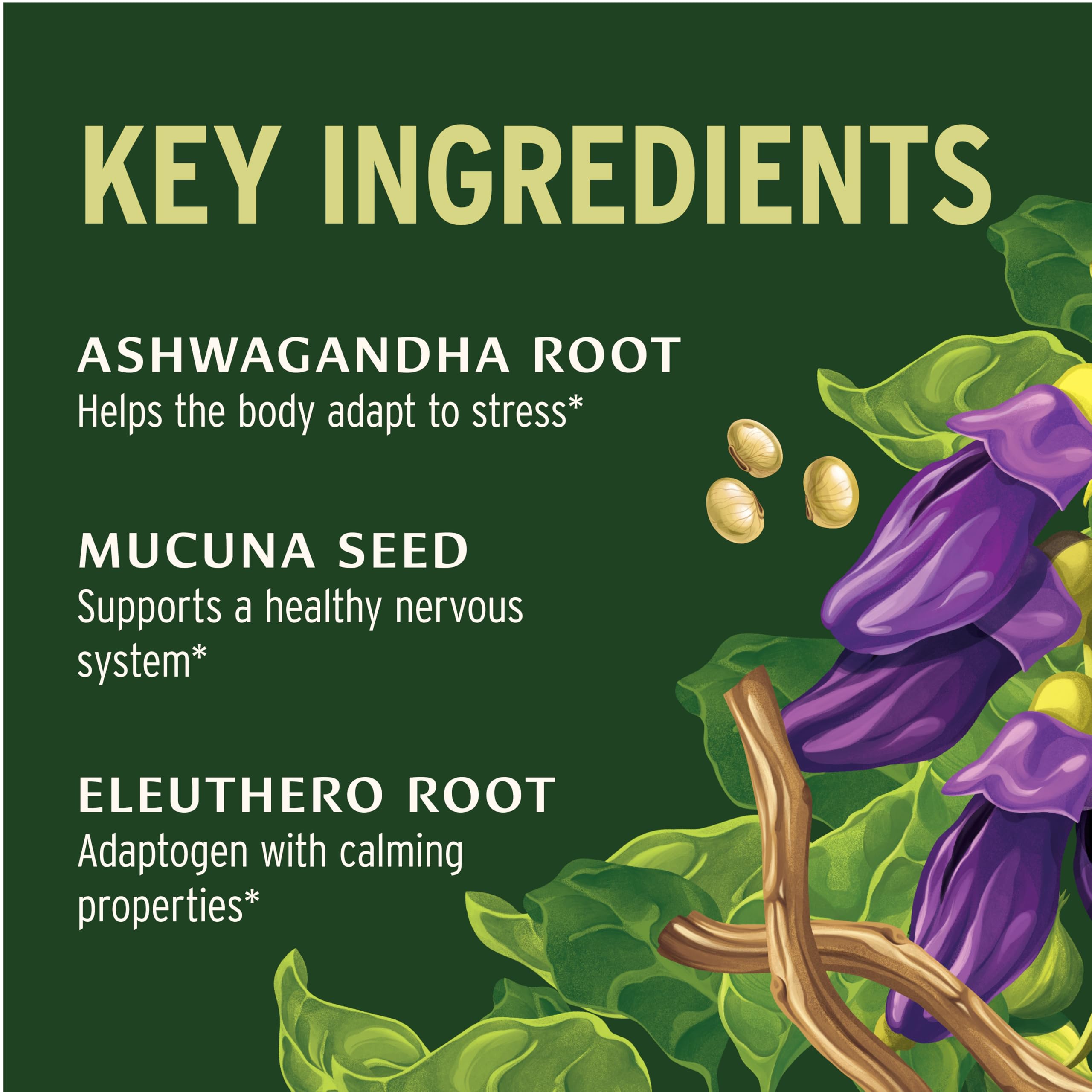 Banyan Botanicals Adrenal Nourish 90 Tablets ingredients list