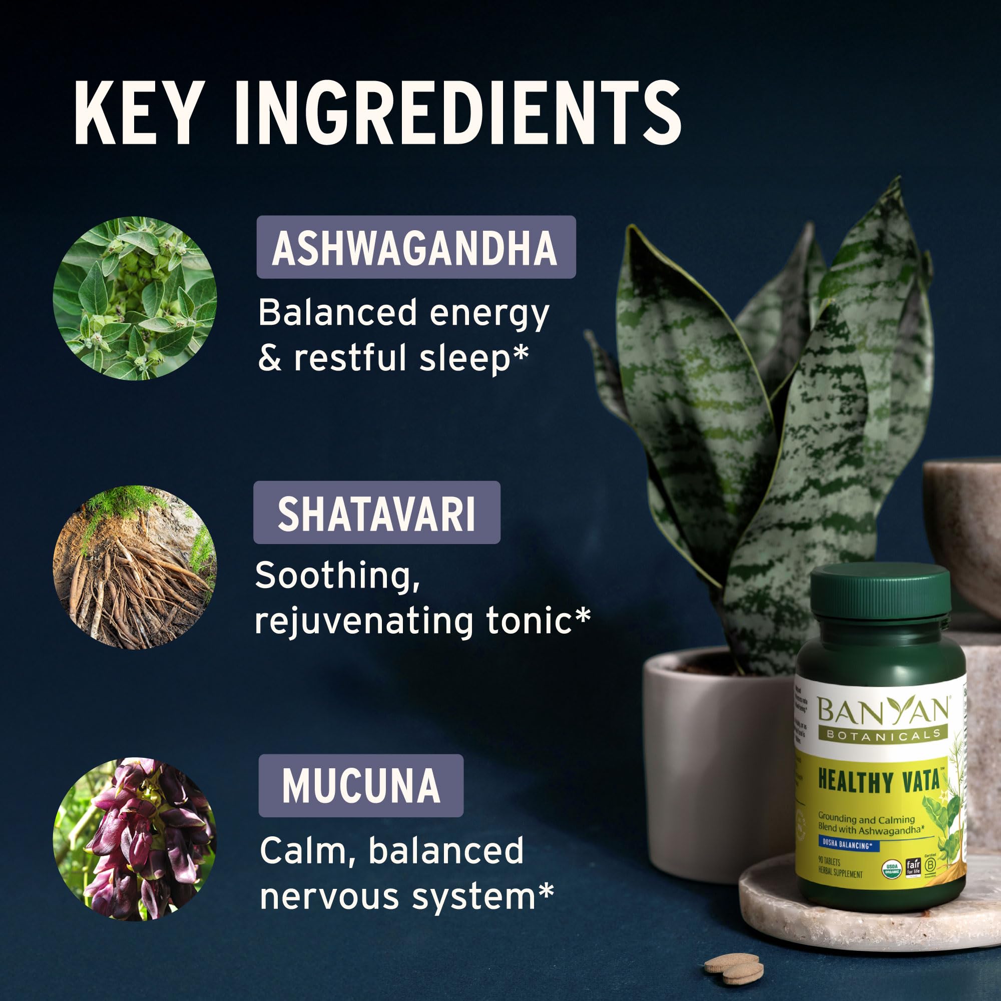 Banyan Botanicals Ashwagandha 500mg tablets packaging