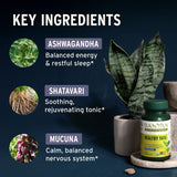 Banyan Botanicals Ashwagandha 500mg tablets packaging