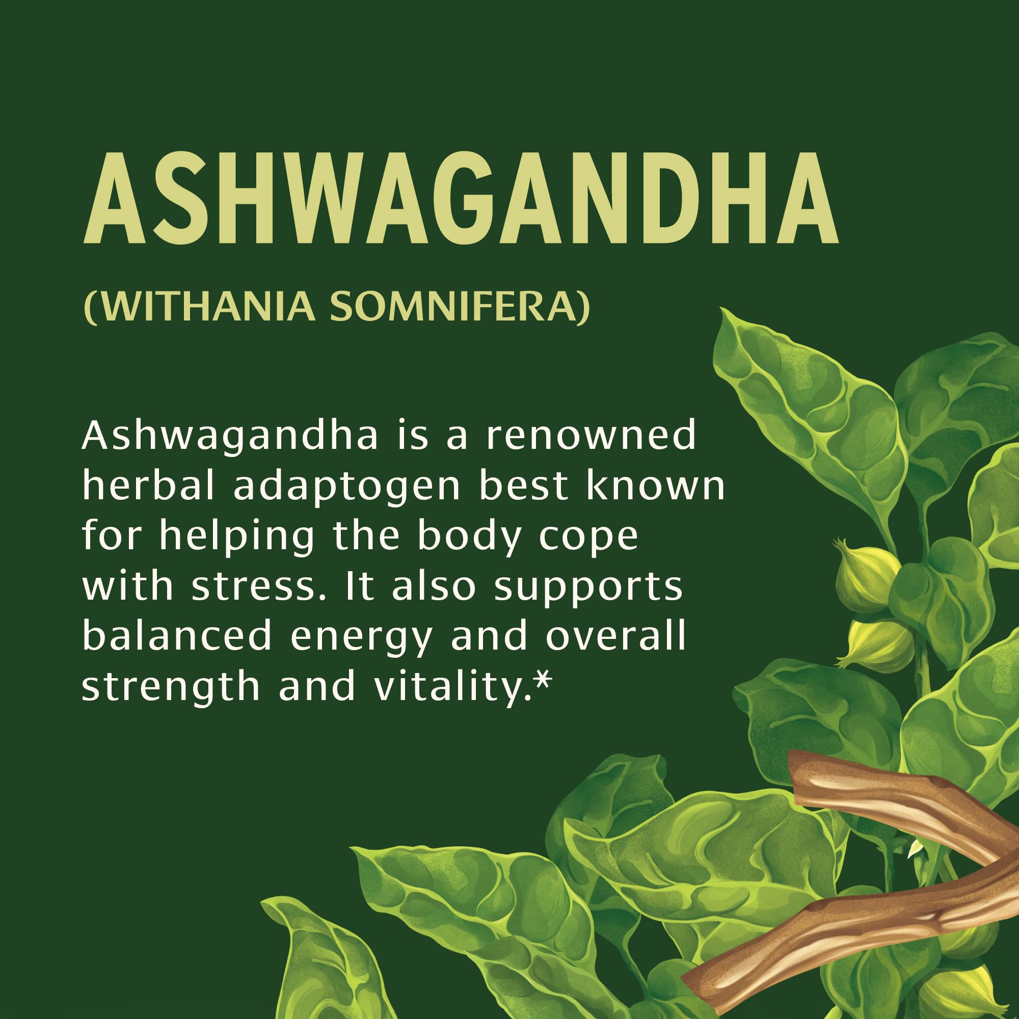 Banyan Botanicals Ashwagandha Tablets organic certification
