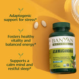 Banyan Botanicals Ashwagandha Tablets packaging side view