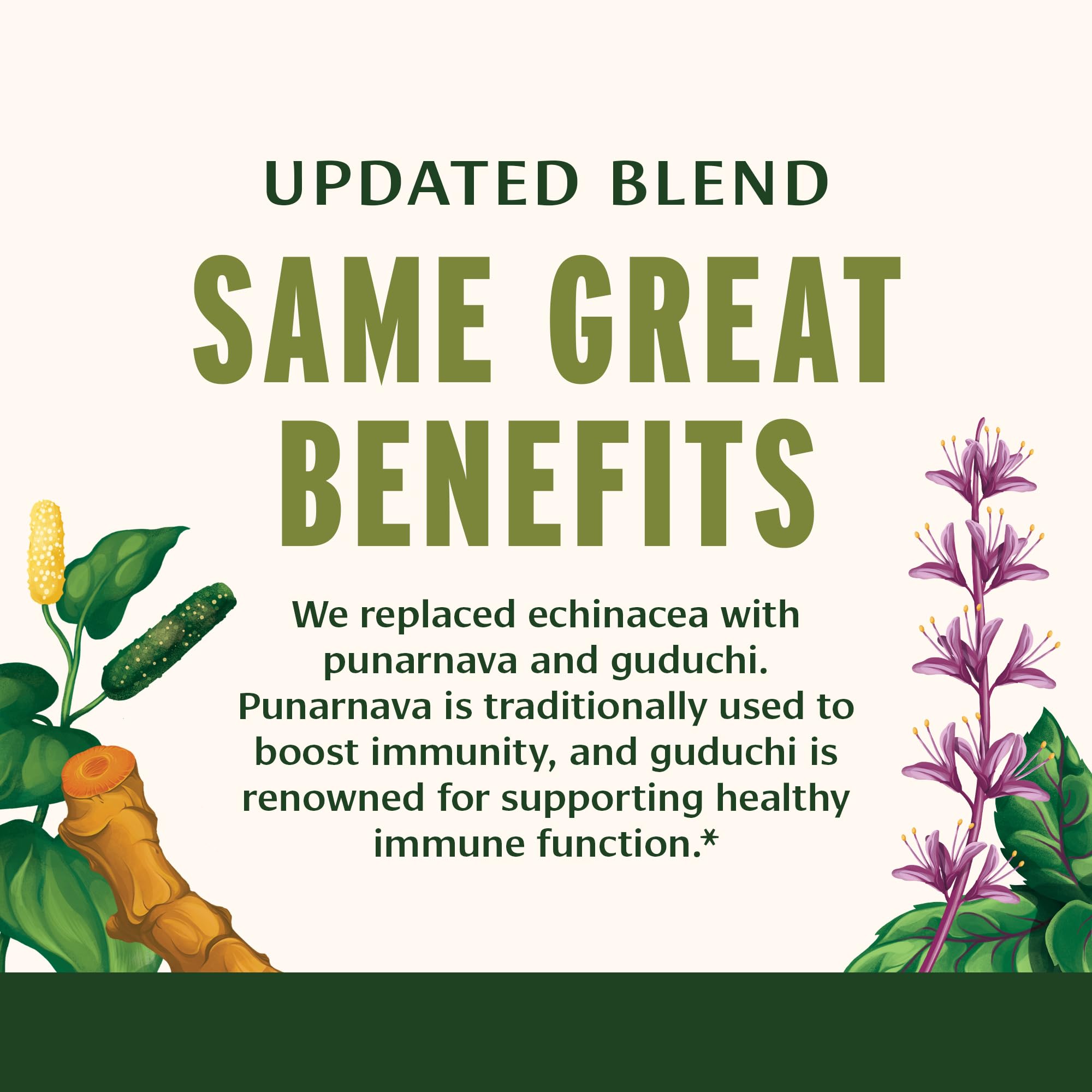 Banyan Botanicals daily wellness Strong Turmeric Supplement with herbs