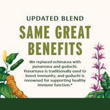 Banyan Botanicals daily wellness Strong Turmeric Supplement with herbs