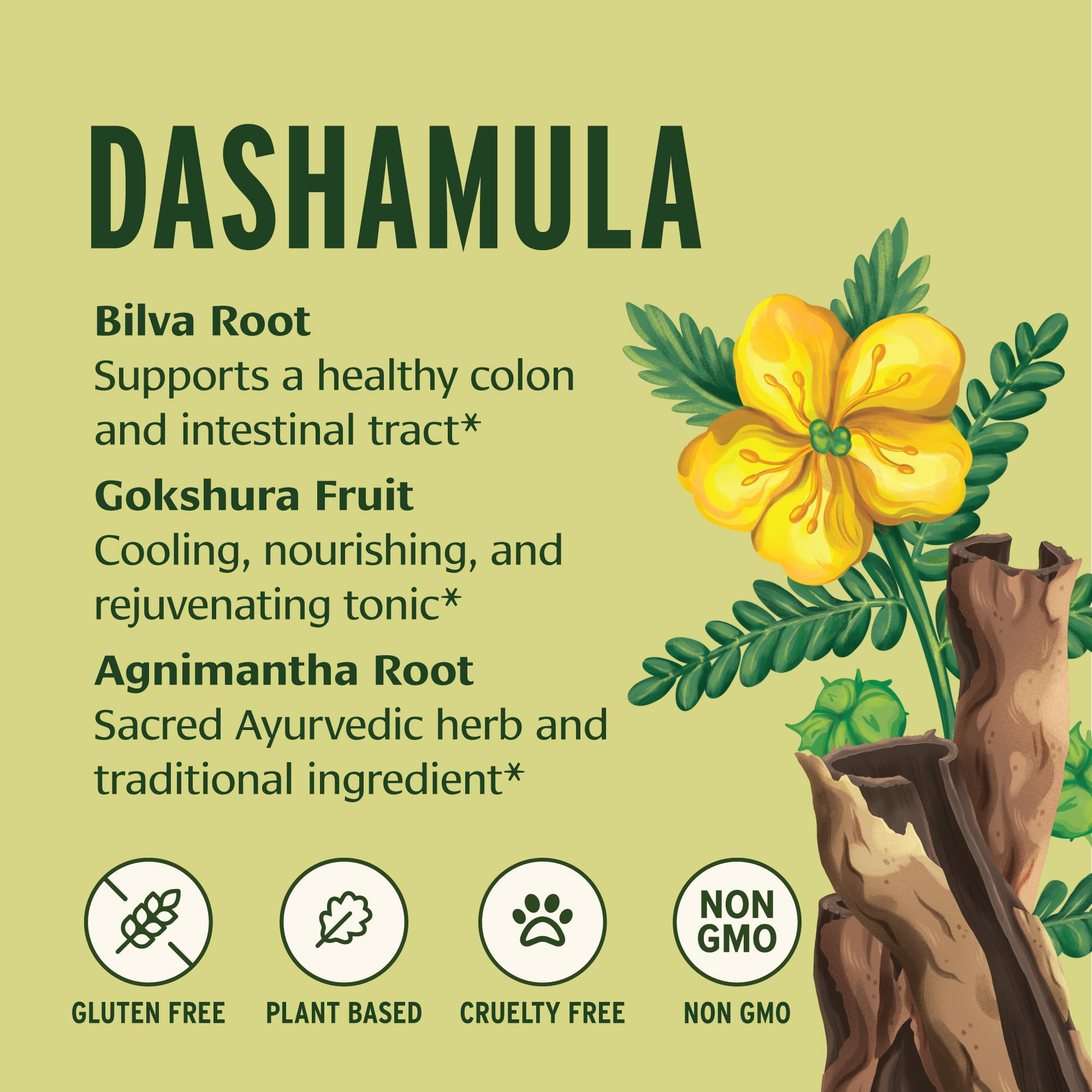 Banyan Botanicals Dashamula Powder in a bowl with herbs