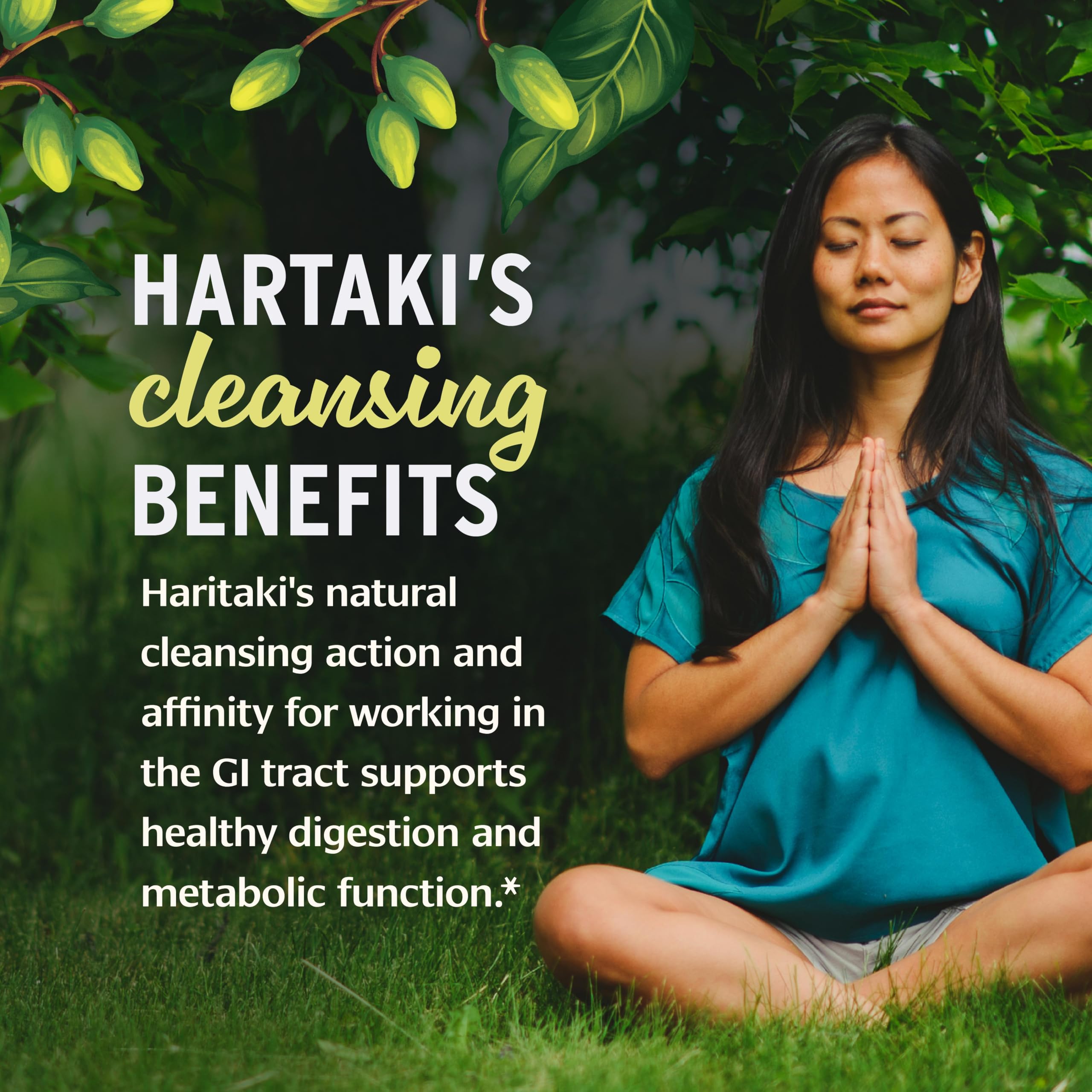 Banyan Botanicals Haritaki Churna 454g loose powder