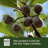Banyan Botanicals Healthy Kapha supplement ingredients list