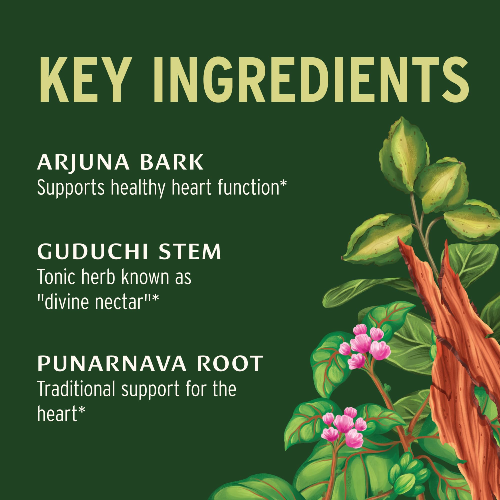 Banyan Botanicals Heart Formula tablets in hand