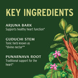 Banyan Botanicals Heart Formula tablets in hand