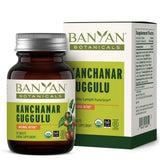 Banyan Botanicals Kanchanar Guggulu 300mg Tablets front view