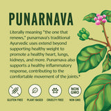 Banyan Botanicals Punarnava Powder 227g in a bowl with a spoon