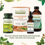 Banyan Botanicals Shankhapushpi Powder added to a smoothie