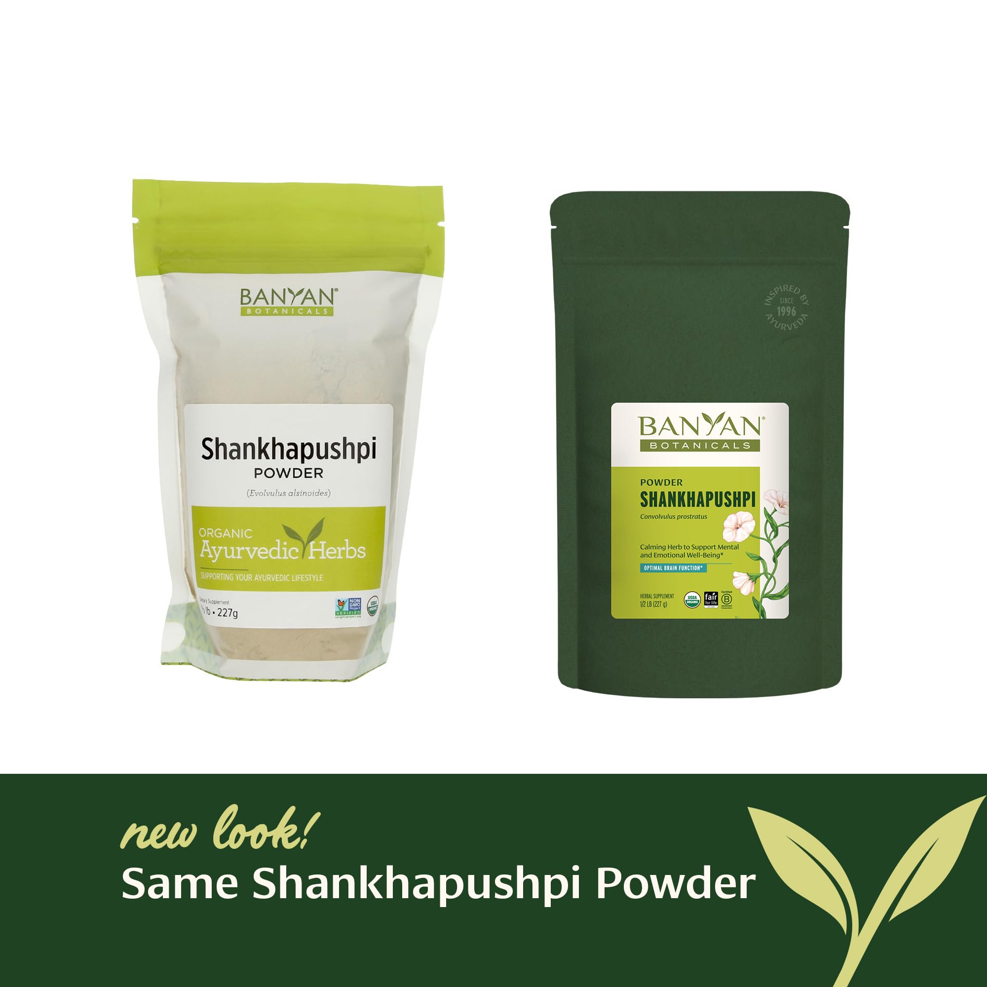 Banyan Botanicals Shankhapushpi Powder mixed in warm water