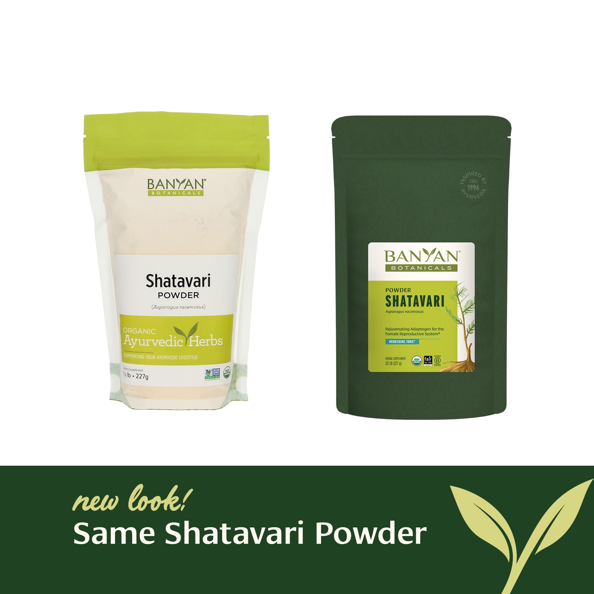 Banyan Botanicals Shatavari Powder in a bowl with a spoon