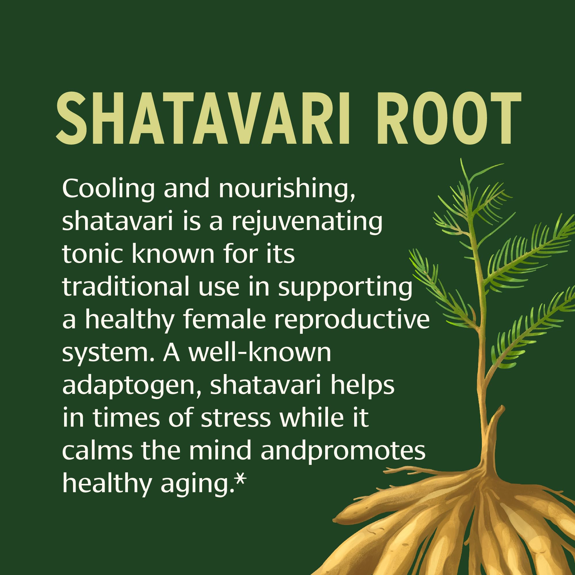 Banyan Botanicals Shatavari Powder scoop with powder