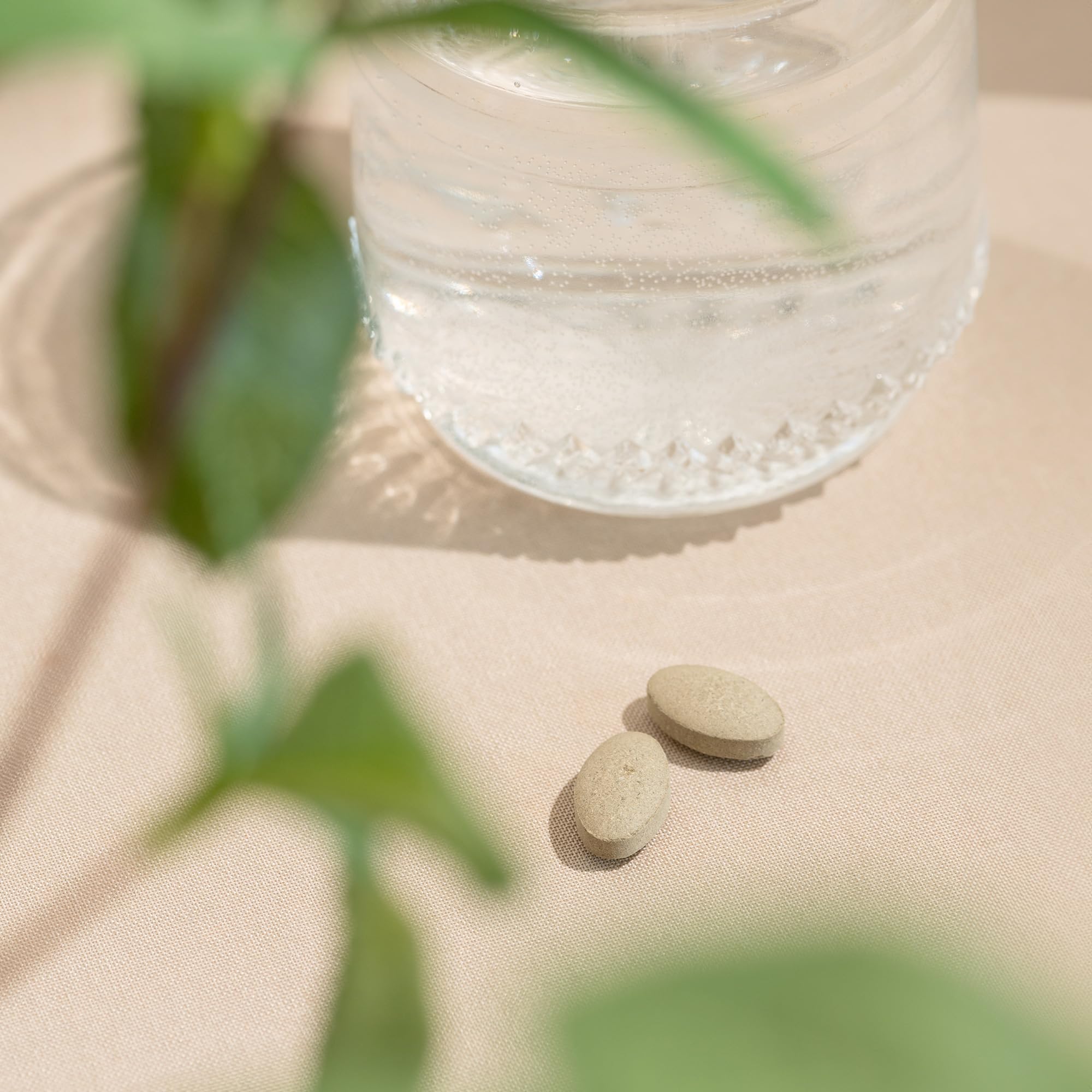 Banyan Botanicals Tranquil Mind 90 Tablets with ingredients listed