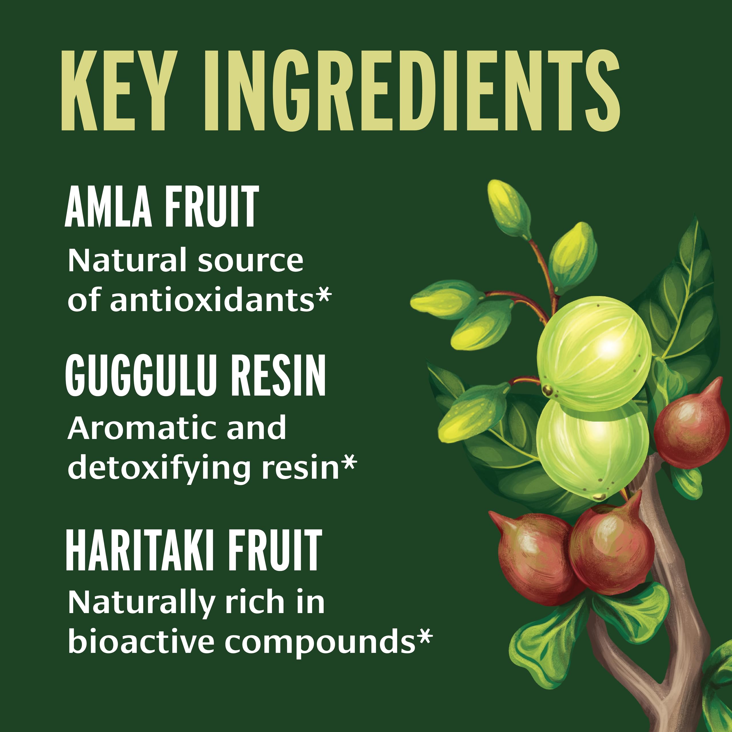 Banyan Botanicals Triphala Guggulu tablets close-up