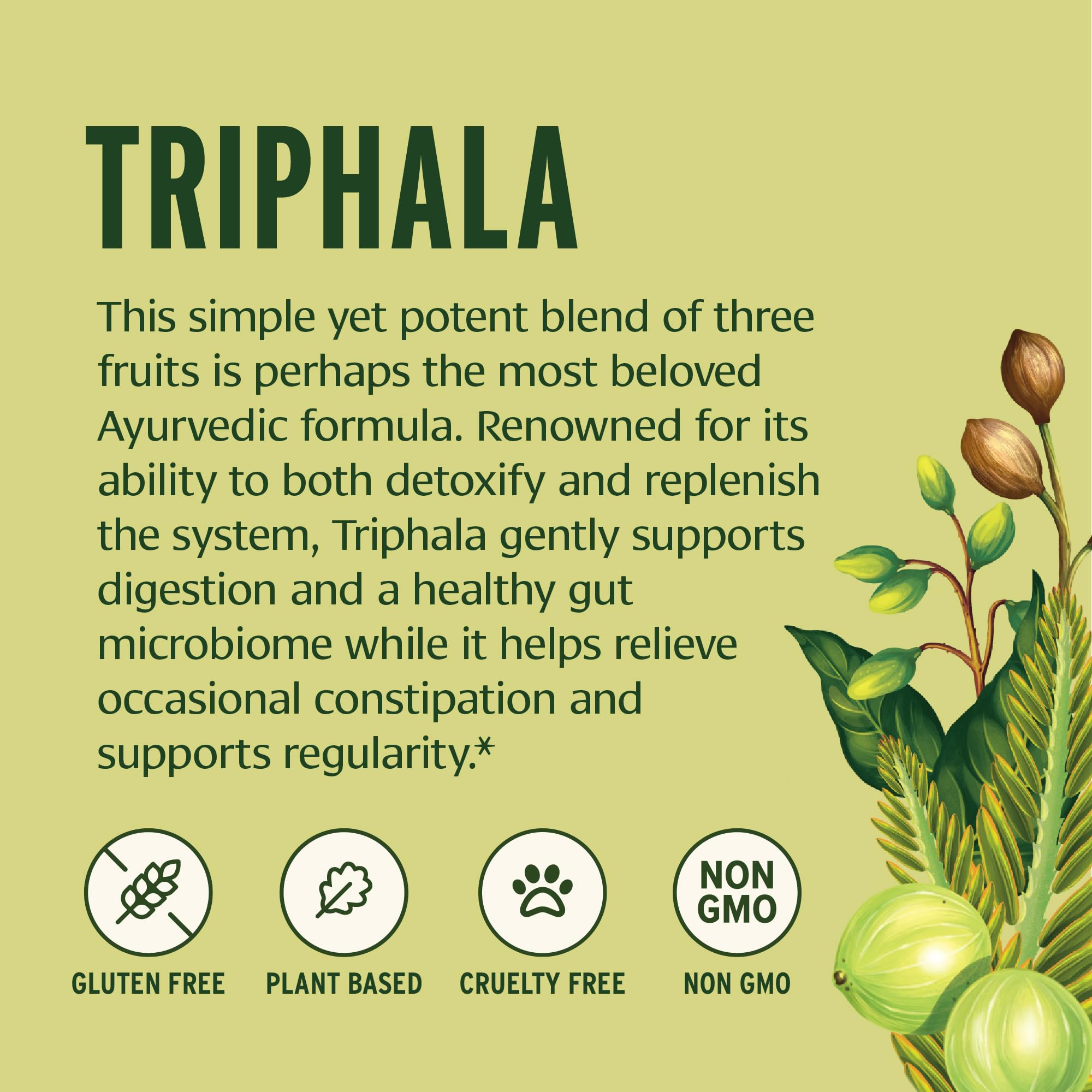 Banyan Botanicals Triphala Organic Powder close-up of powder