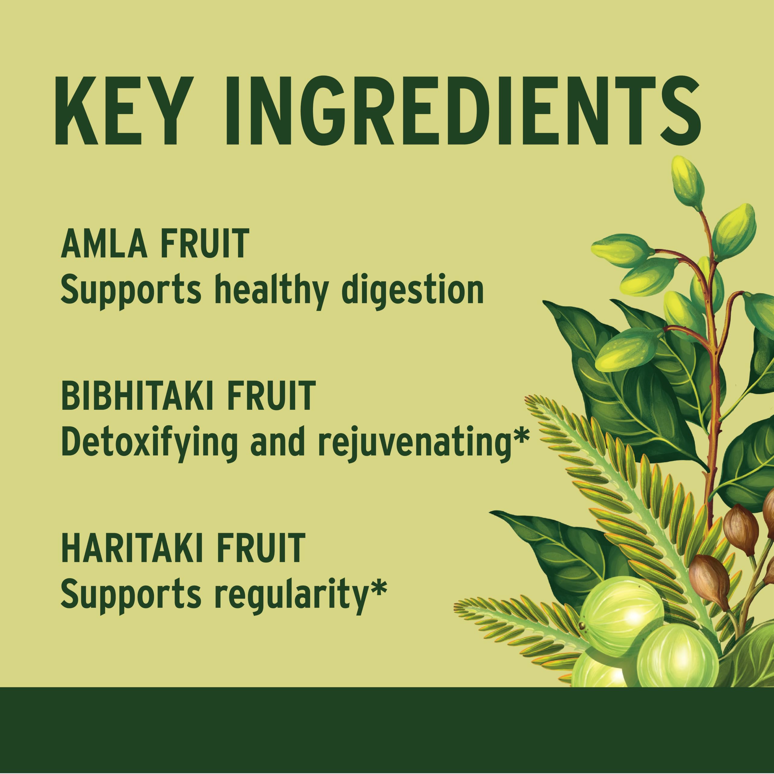 Banyan Botanicals Triphala Tablets 500mg close-up