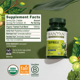 Banyan Botanicals Triphala Tablets close-up of tablet