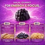 Barely Halal Shilajit Gummies close-up of gummy texture
