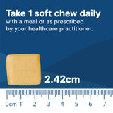 Bariatric Fusion Calcium Citrate Chews on a kitchen counter