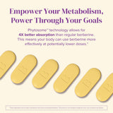 BariMelts Berberine Phytosome Supplement 550mg ingredients list