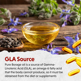 Barlean's Borage Oil Softgels 200mg GLA 1000mg softgel close-up