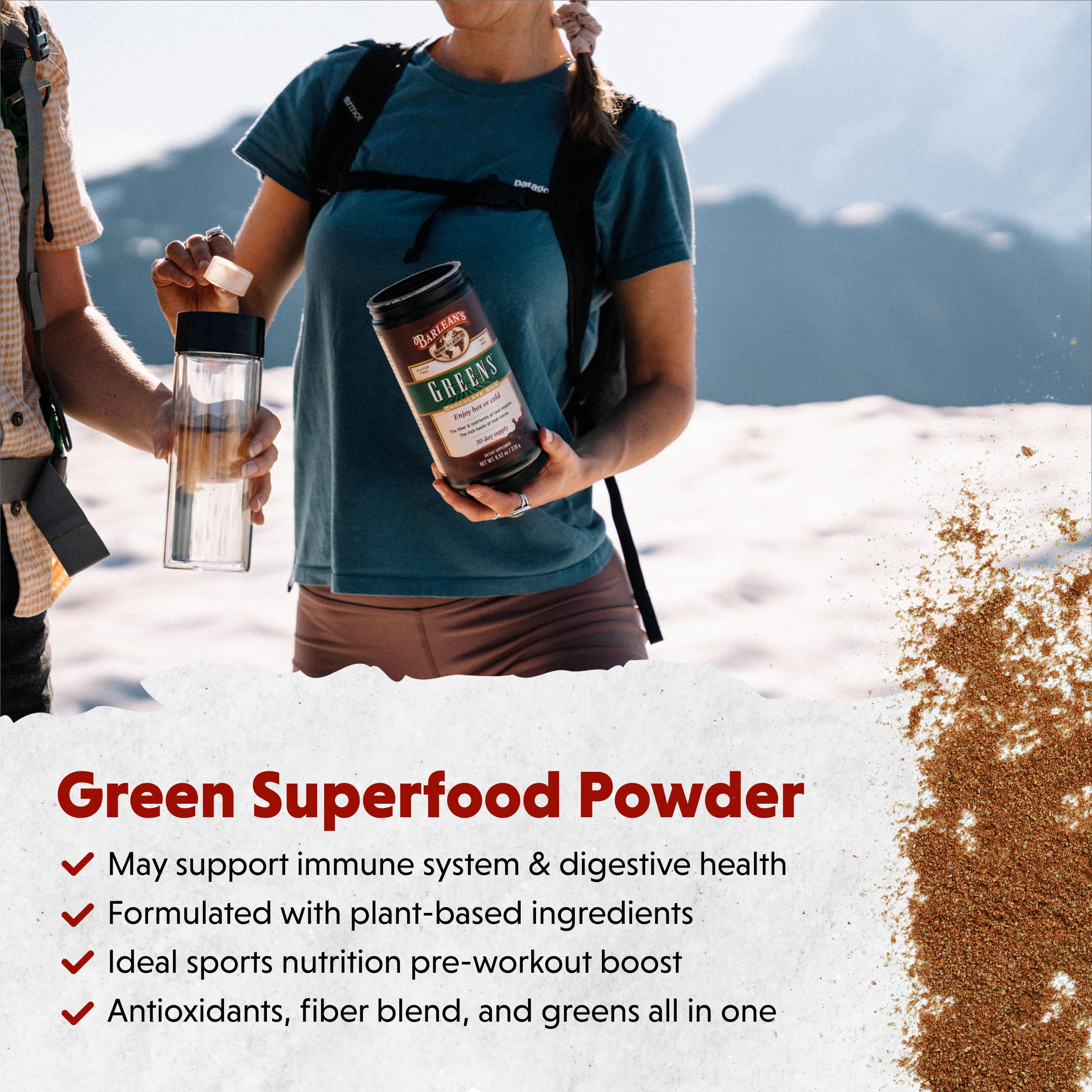 Barlean's Chocolate Silk Greens Superfood Powder with fruits and vegetables