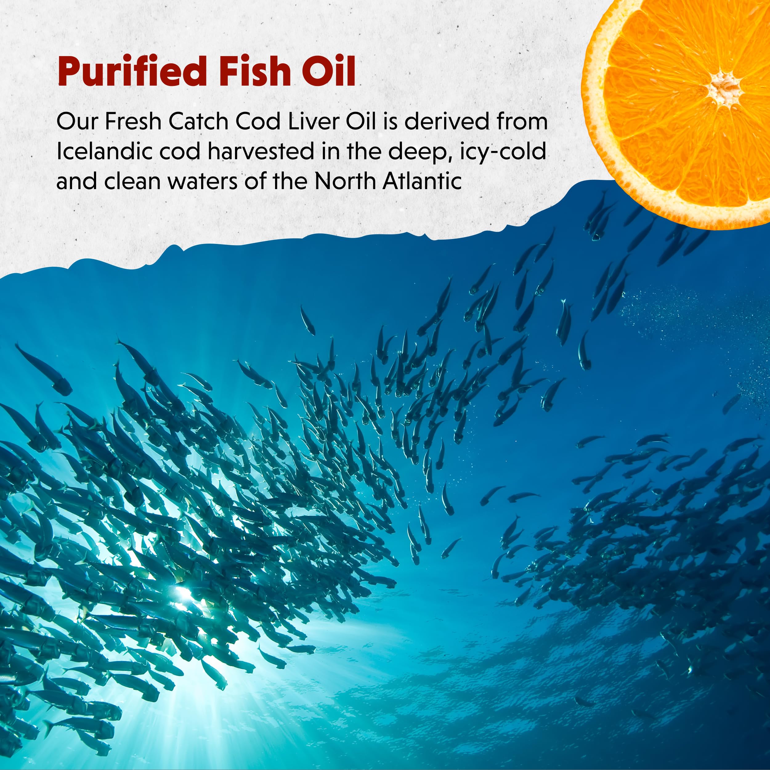 Barlean's Fresh Catch Fish Oil 227g ingredients list