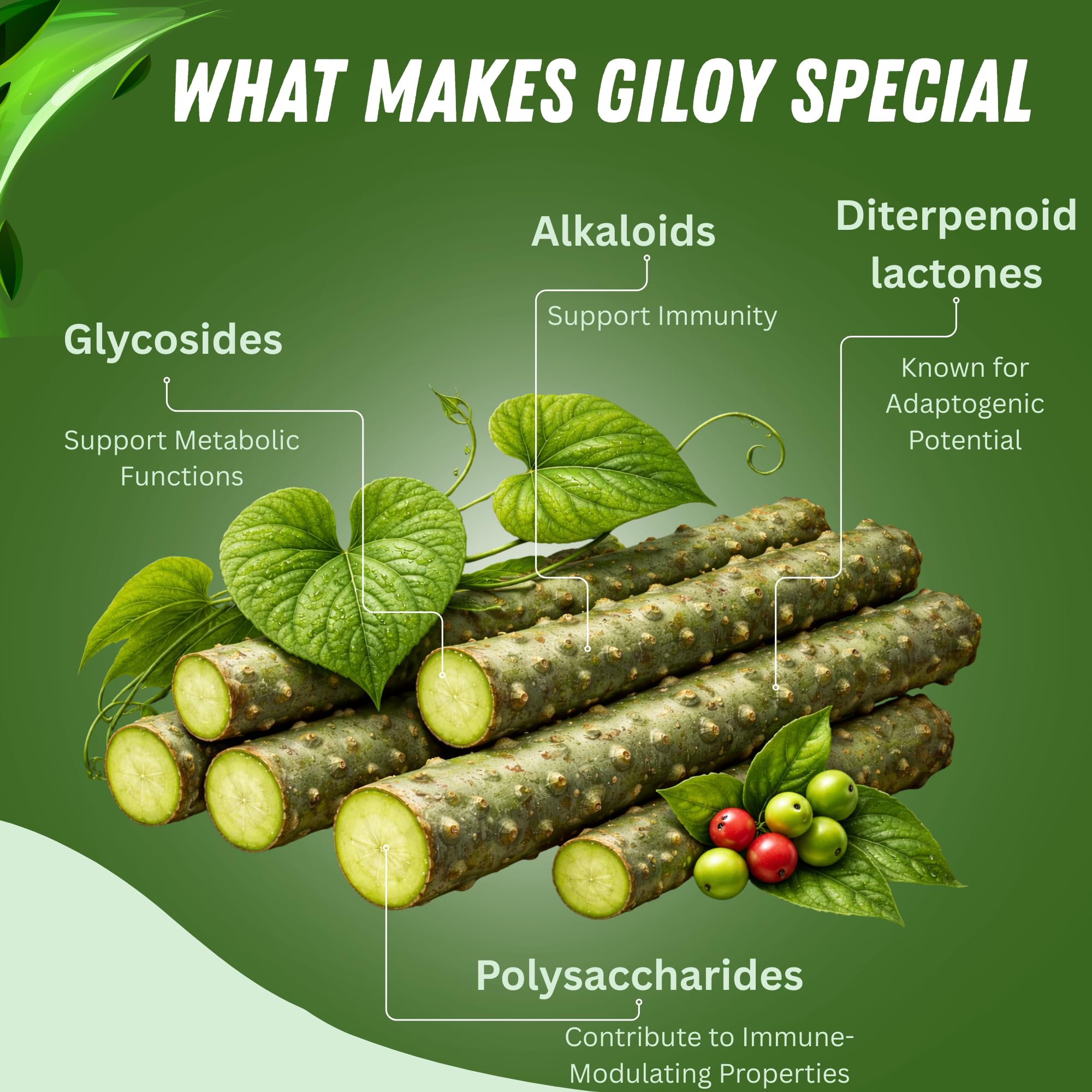 BASIC AYURVEDA Giloy Powder fine texture close-up