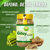 BASIC AYURVEDA Giloy Powder mixed in herbal tea