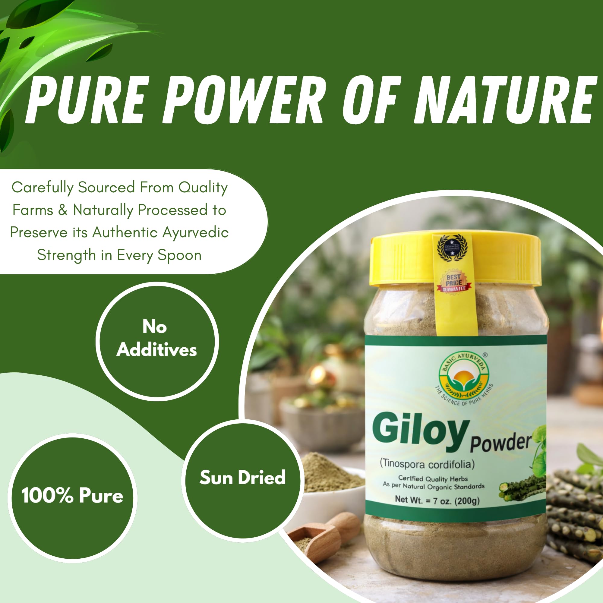 BASIC AYURVEDA Giloy Powder packaging side view