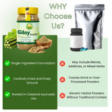 BASIC AYURVEDA Giloy Powder with fresh herbs