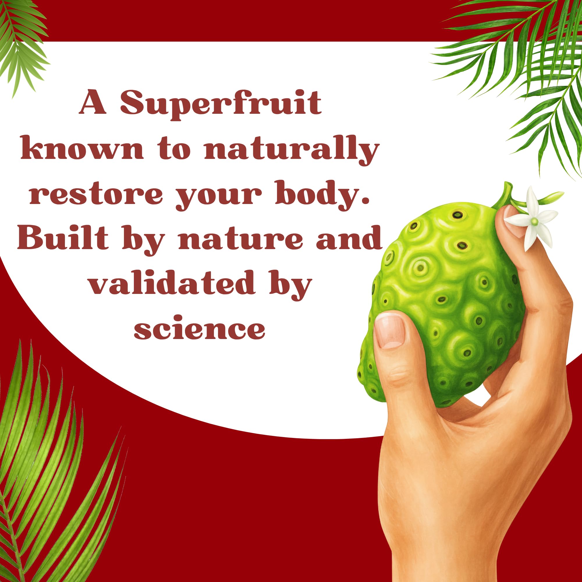 BASIC AYURVEDA Noni Juice bottle in a natural setting