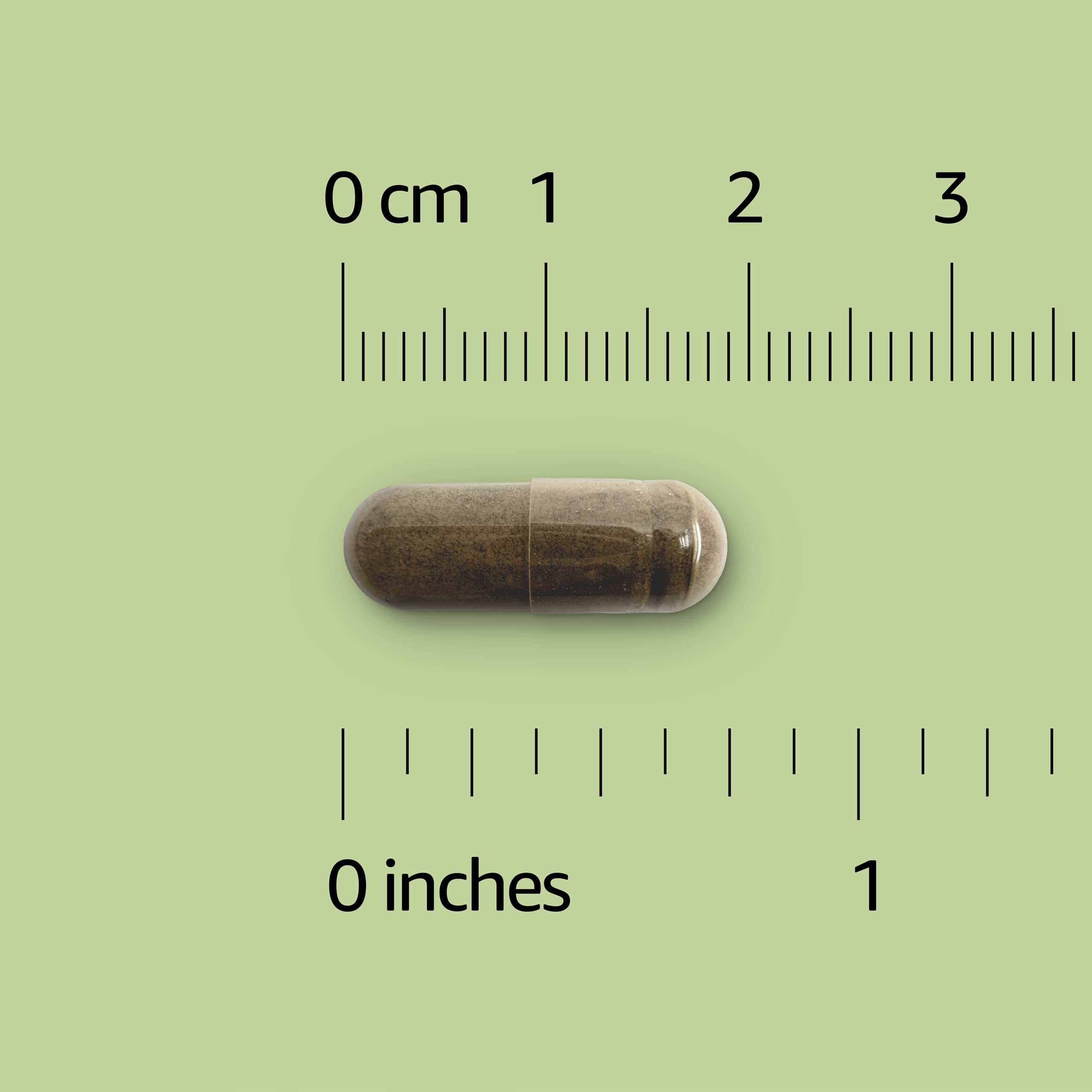 Basics Ginkgo Biloba Tablets side view showing tablet details