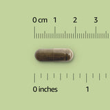 Basics Ginkgo Biloba Tablets side view showing tablet details