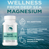BB Company Magnesium Supplement 200mg Aquamin side view