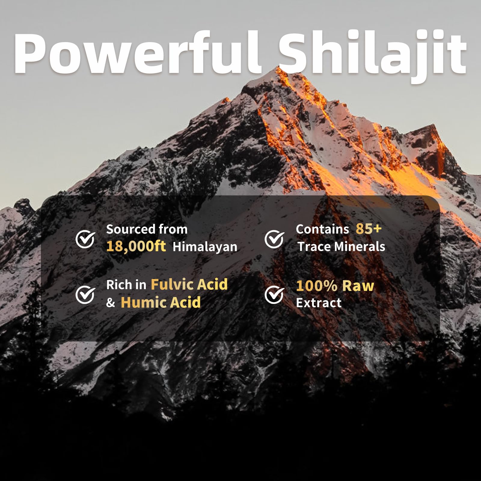BBEEAAUU Shilajit Capsules on a wooden table