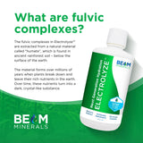BEAM MINERALS ELECTROLYZE 1190g liquid in a glass