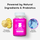 BEARVANA gummies in hand for size reference
