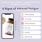 BeautiBe Adrenal Support Supplement 60 Capsules side view