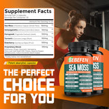 BEBEFEN Sea Moss Complex bottle side view