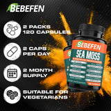 BEBEFEN Sea Moss Complex bottle with a measuring spoon