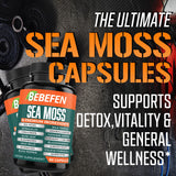 BEBEFEN Sea Moss Complex capsules in hand